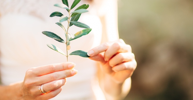 Expats & International Students