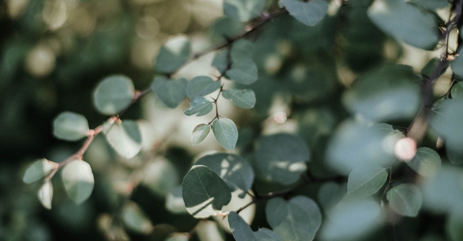 How to know when to seek Counselling  image